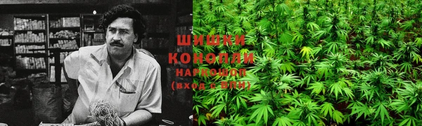 спиды Покровск