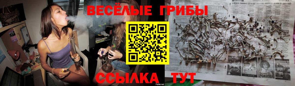 Псилоцибиновые грибы Magic Shrooms Советский