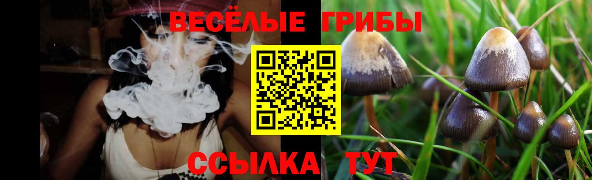 Псилоцибиновые грибы прущие грибы  Вход с VPN  Советский 